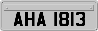 AHA1813