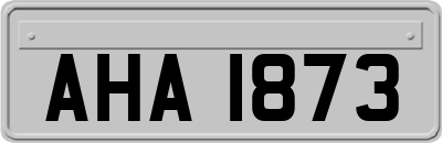 AHA1873