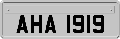 AHA1919