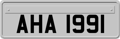 AHA1991