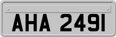 AHA2491