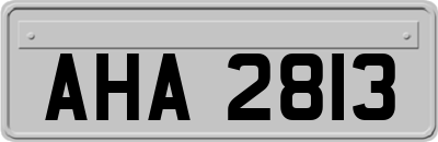 AHA2813