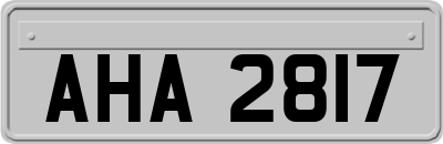 AHA2817