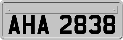 AHA2838