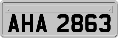 AHA2863