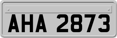 AHA2873