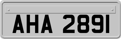 AHA2891