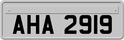 AHA2919