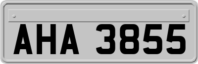 AHA3855