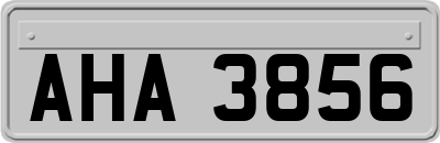 AHA3856