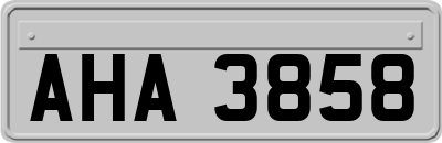AHA3858