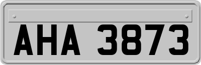 AHA3873