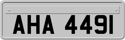 AHA4491