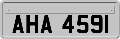 AHA4591