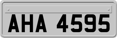 AHA4595