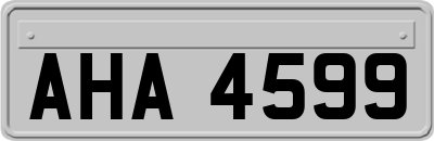 AHA4599