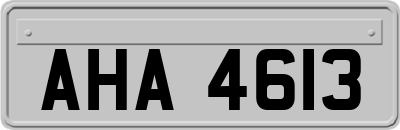 AHA4613