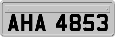 AHA4853