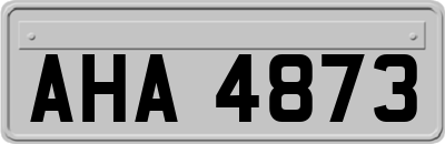 AHA4873