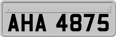 AHA4875