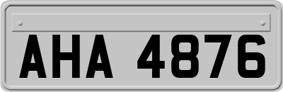 AHA4876