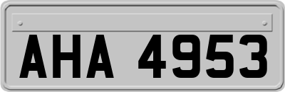 AHA4953