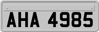 AHA4985