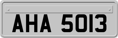 AHA5013