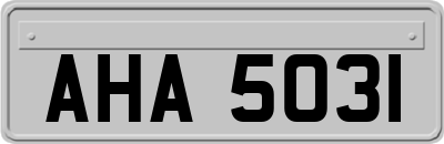 AHA5031