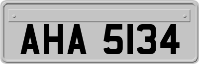 AHA5134