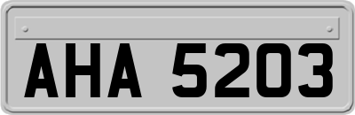 AHA5203