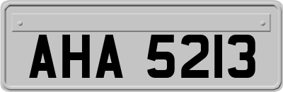 AHA5213