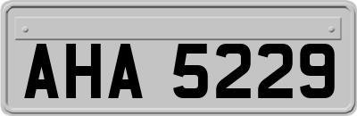AHA5229