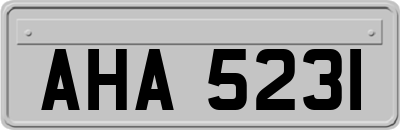 AHA5231