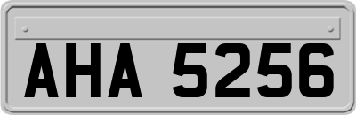AHA5256