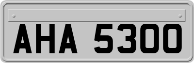 AHA5300