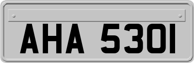 AHA5301
