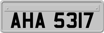 AHA5317