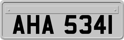 AHA5341