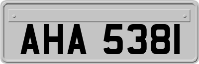 AHA5381