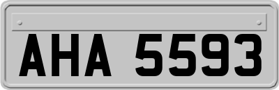 AHA5593