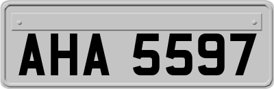AHA5597