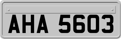 AHA5603