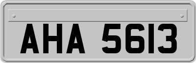 AHA5613