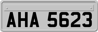 AHA5623