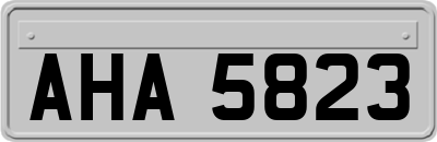 AHA5823
