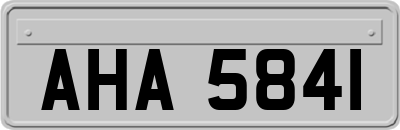AHA5841
