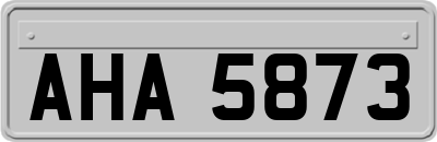 AHA5873