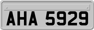 AHA5929