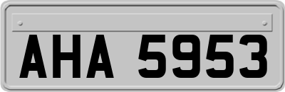 AHA5953